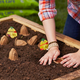 Illustration for article titled Keurig-Like Miracle-Gro Seed Pods Make Gardening Idiot-Proof